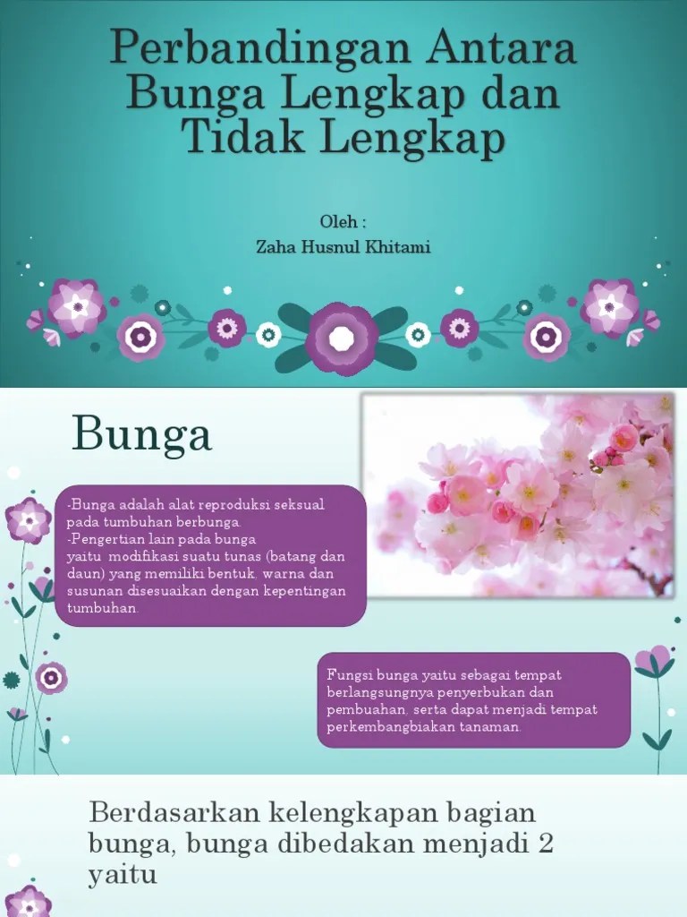 Perbedaan Bunga Lengkap Dan Tidak Lengkap | PDF