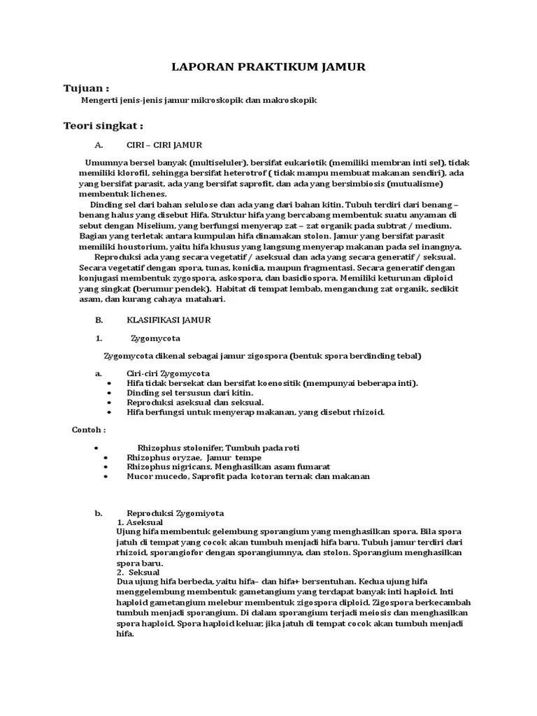 Contoh Laporan Biologi Jamur