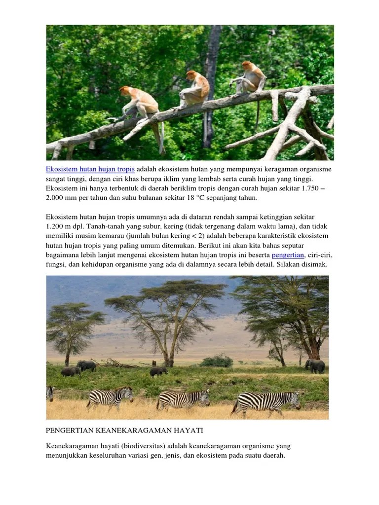 10 Hewan Karnivora | PDF