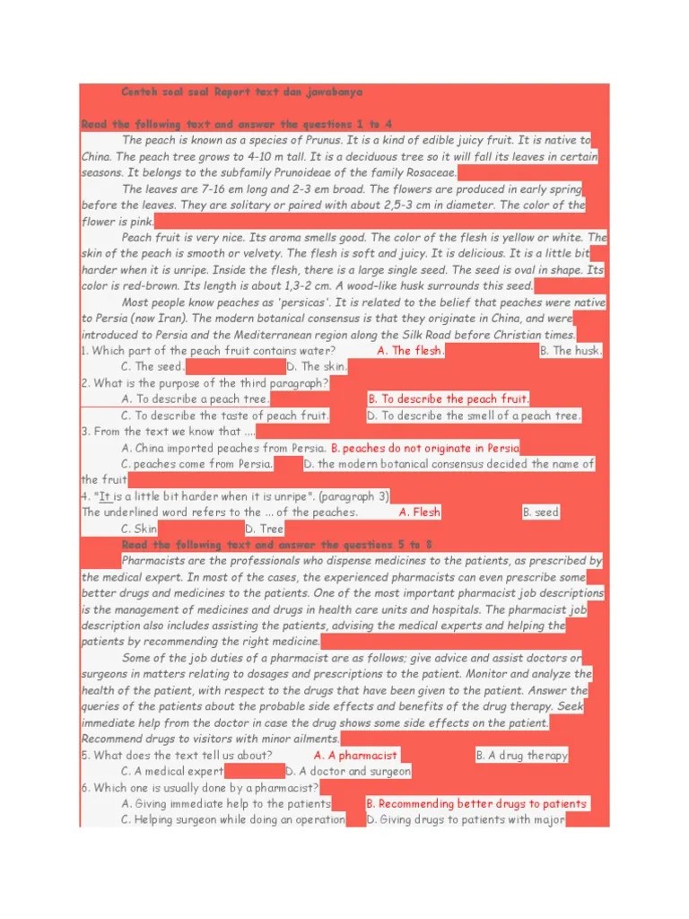 Contoh Soal Biography Text Beserta Jawabannya - Contoh Soal Terbaru