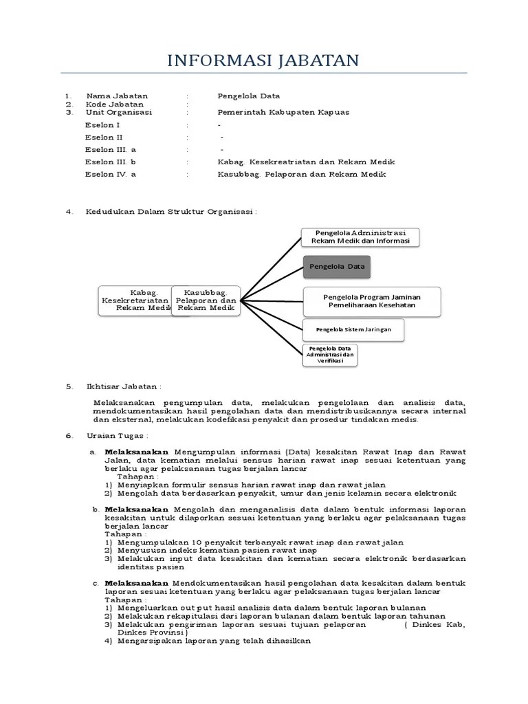 Anjab Pengelola Data | PDF
