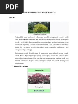 Jenis Perdu | PDF