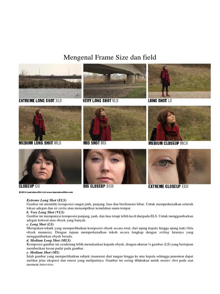 Frame Size Dan Angle Kamera | PDF