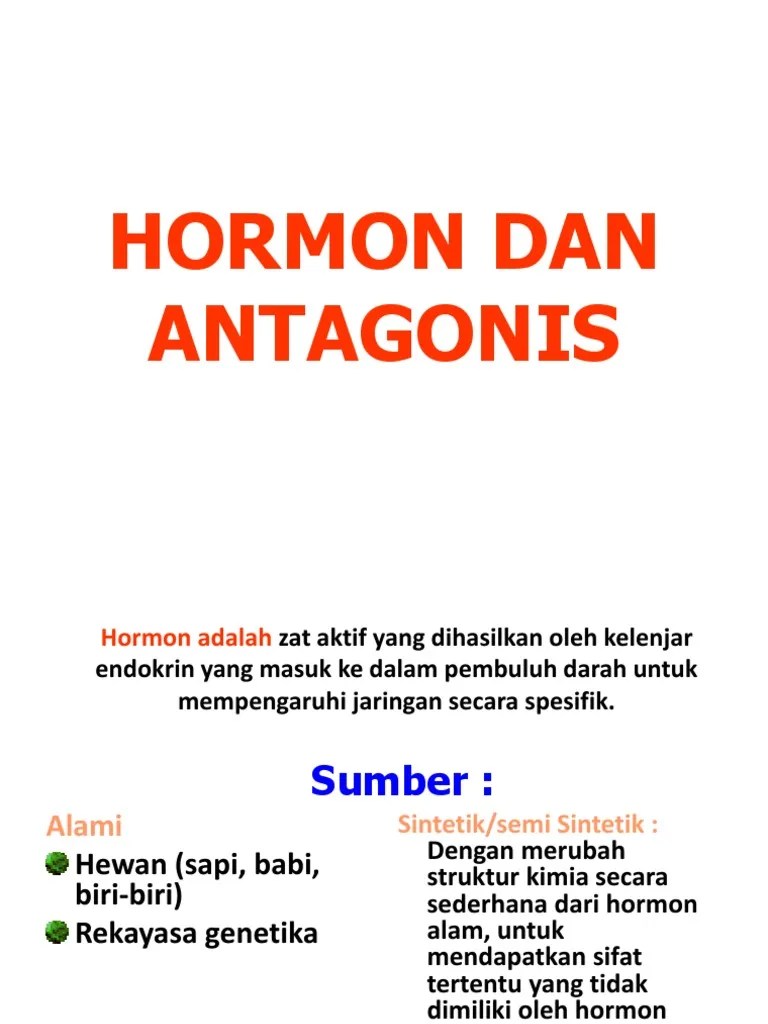 Hormon Dan Antagonis | PDF