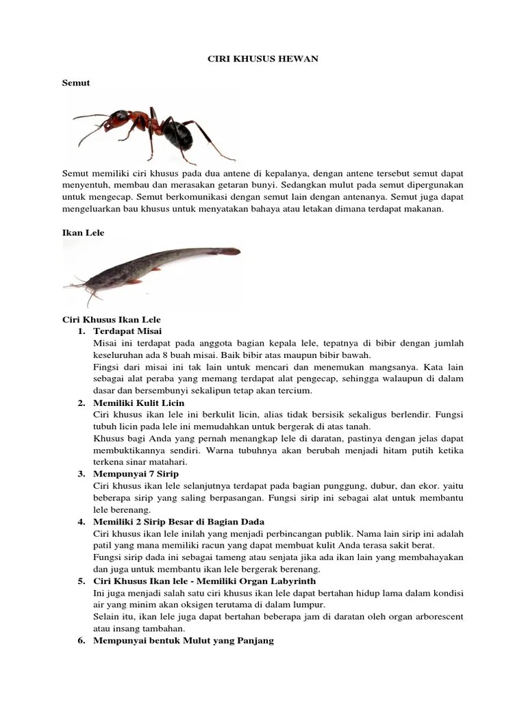 Ciri Khusus Hewan Dan Tumbuhan | PDF