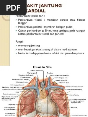 8.2. Gangguan Perikardium | PDF