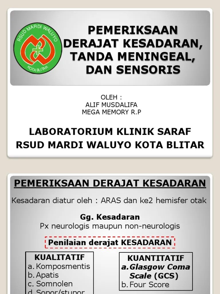 GCS, MS, Dan Sensoris | PDF