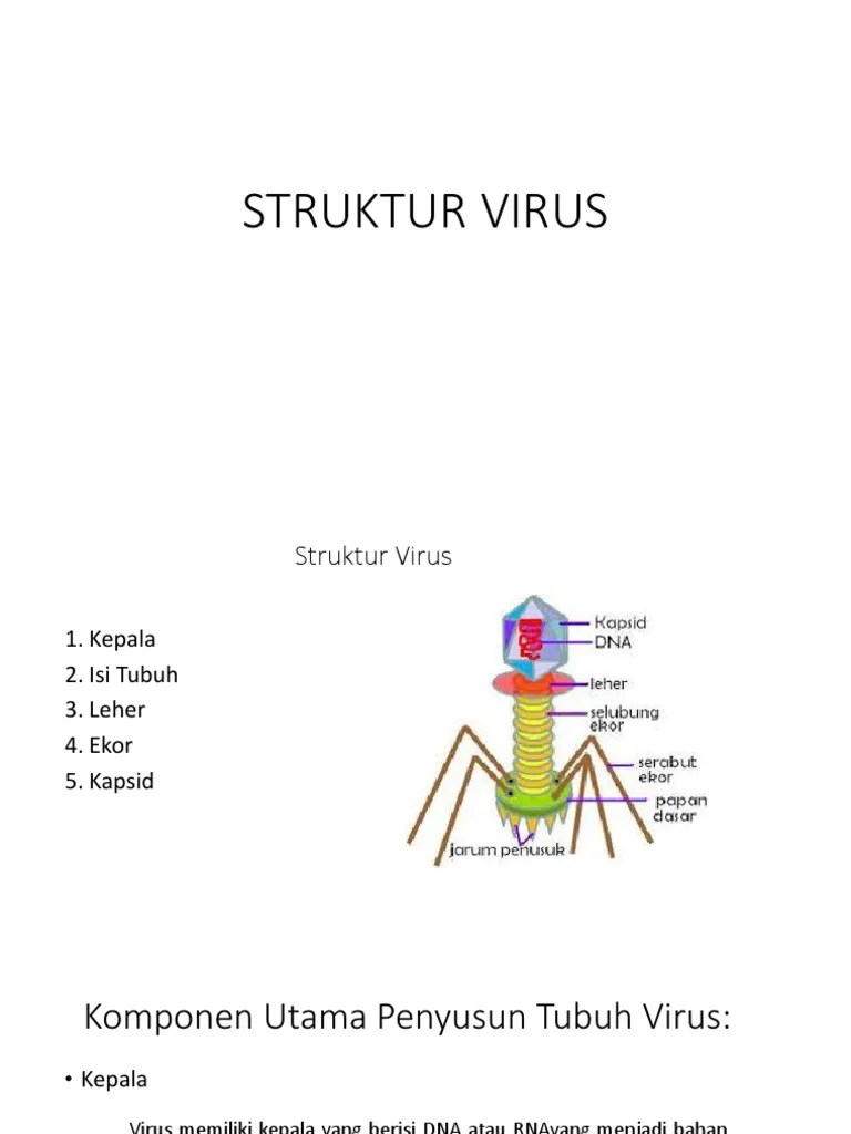 Struktur Virus | PDF