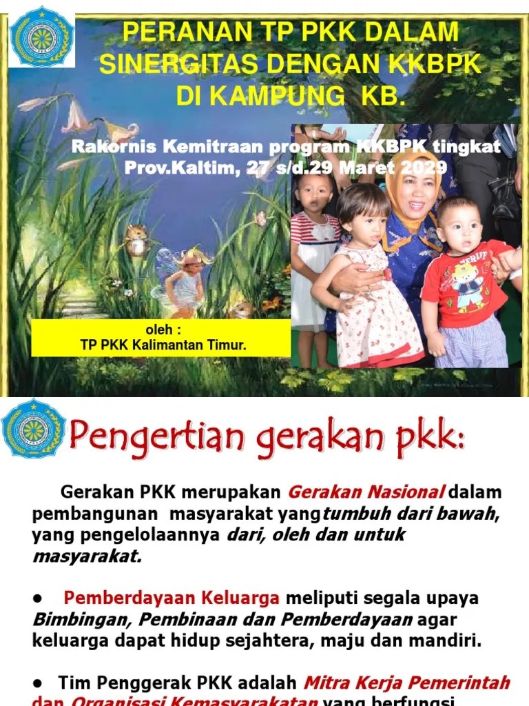Peran PKK Dalam Sinergitas KKBPK DI KP - KB, 2019 | PDF