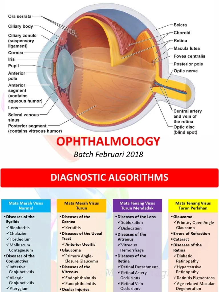 Opthalmology PDF | PDF