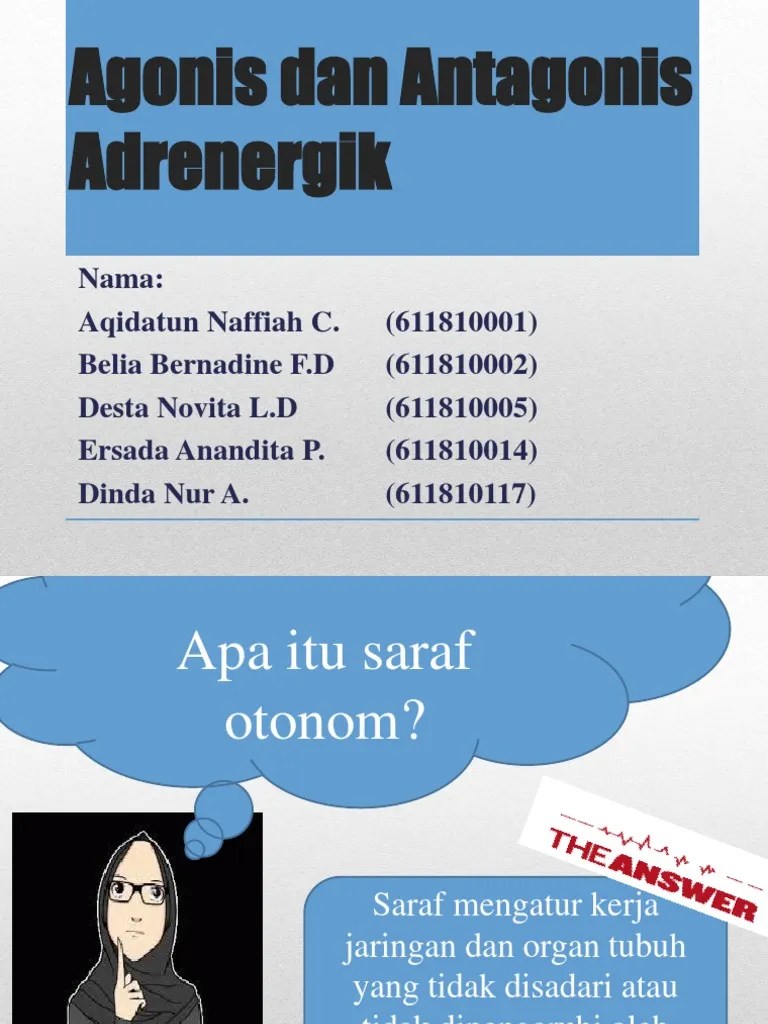 Agonis Dan Antagonis Adrenergik | PDF