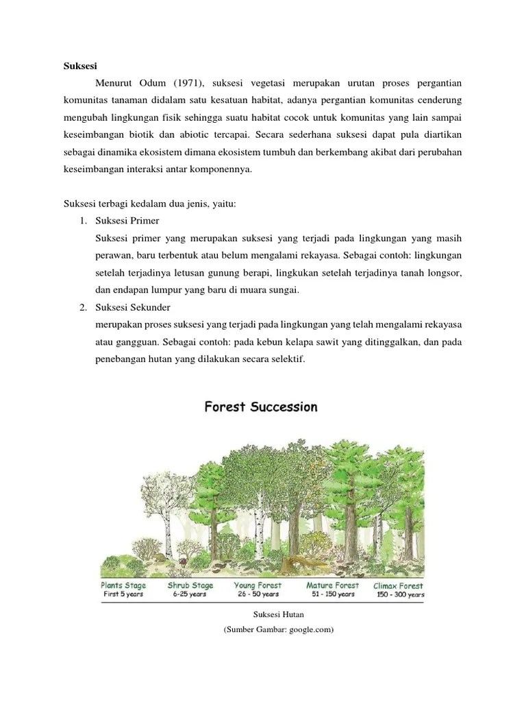 Suksesi Dan Evolusi Gulma | PDF