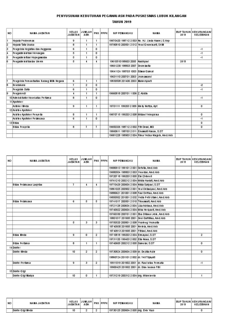 Kelas Jabatan Puskesmas Luki | PDF