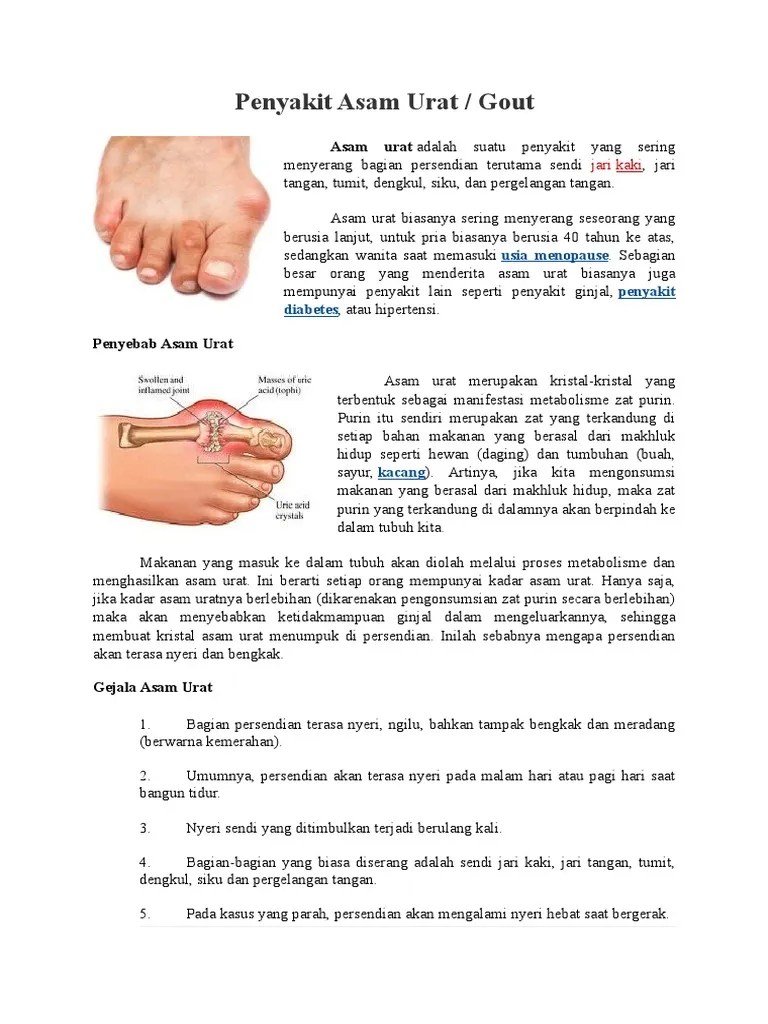 Penyakit Asam Urat | PDF