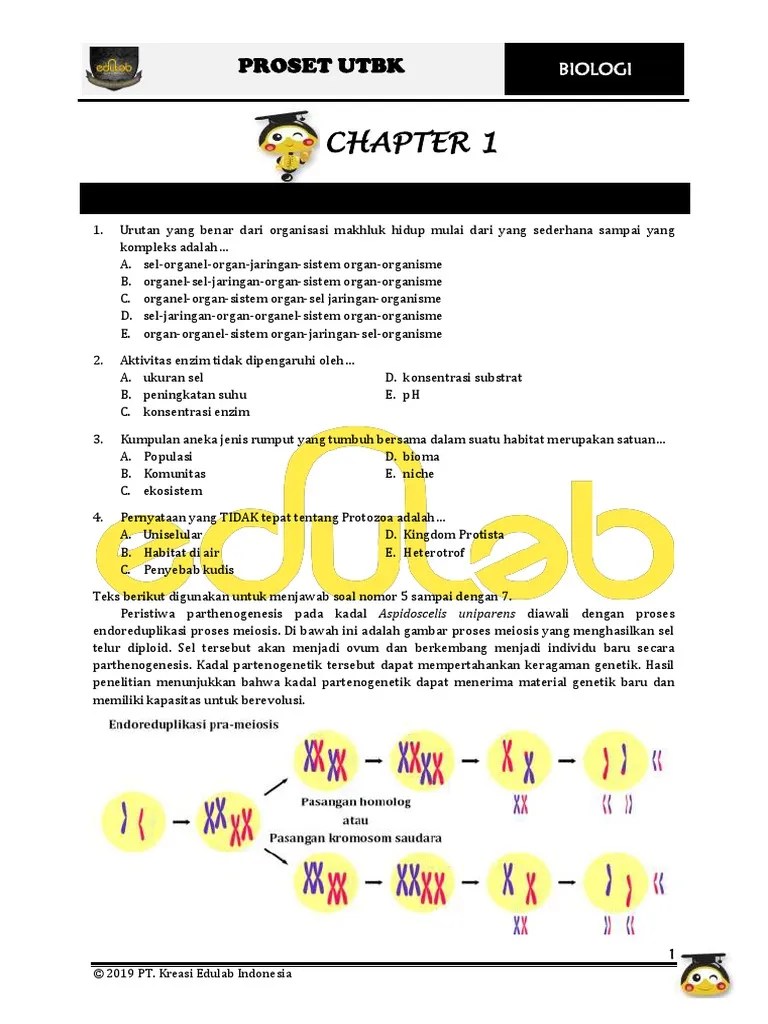 Soal Utbk 2021 Asli Pdf 2021