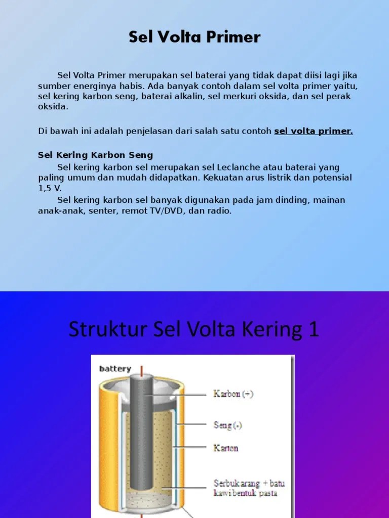 Sel Volta Primer | PDF