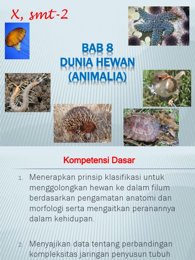 A. Bab 8 Dunia Hewan (Animalia) - 1 | PDF