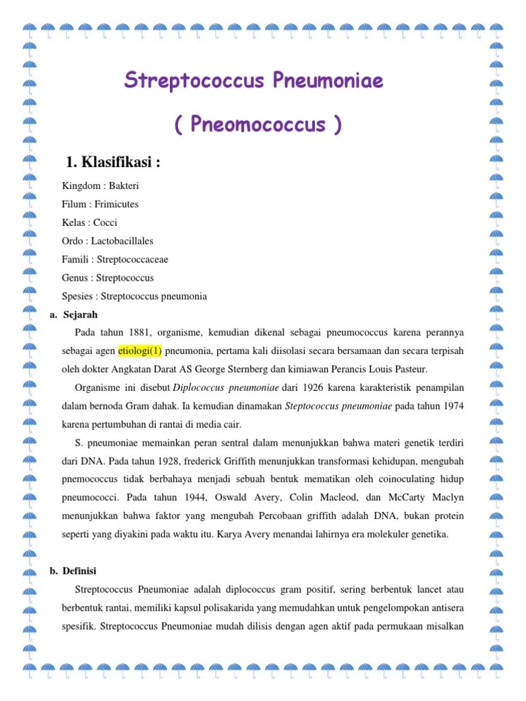 Artikel Asli Streptococcus Pneumoniae | PDF