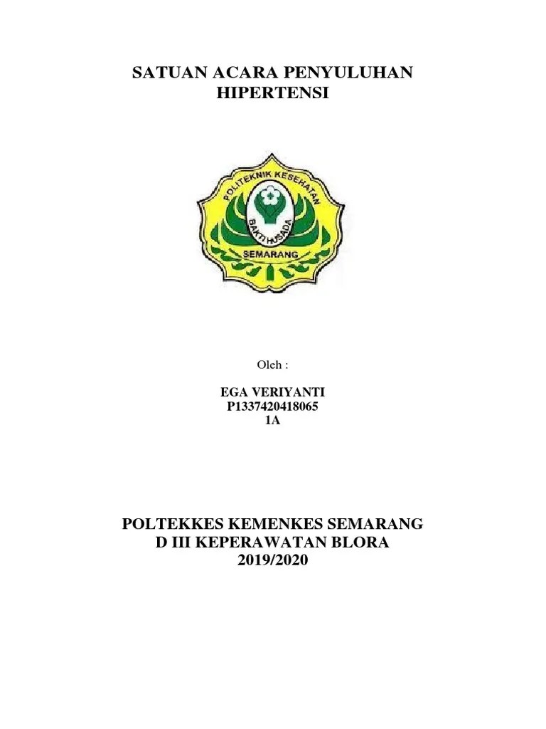 Satuan Acara Penyuluhan | PDF