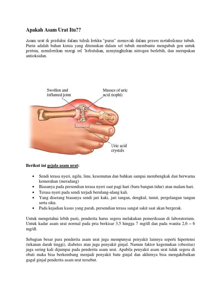 Artikel Asam Urat | PDF