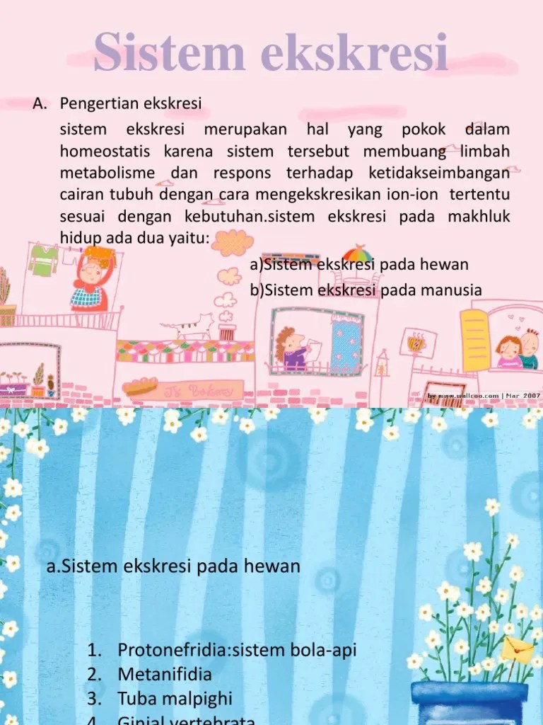 Sistem Ekskresi | PDF