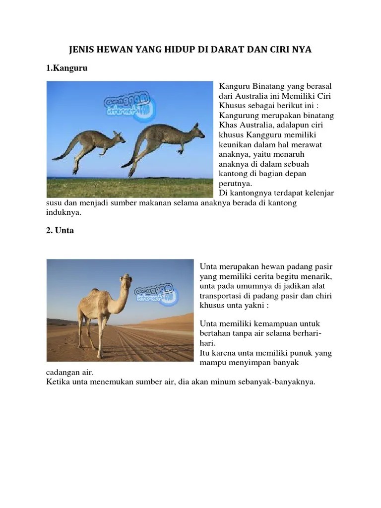 Jenis Hewan Yang Hidup Di Darat Dan Ciri Nya | PDF