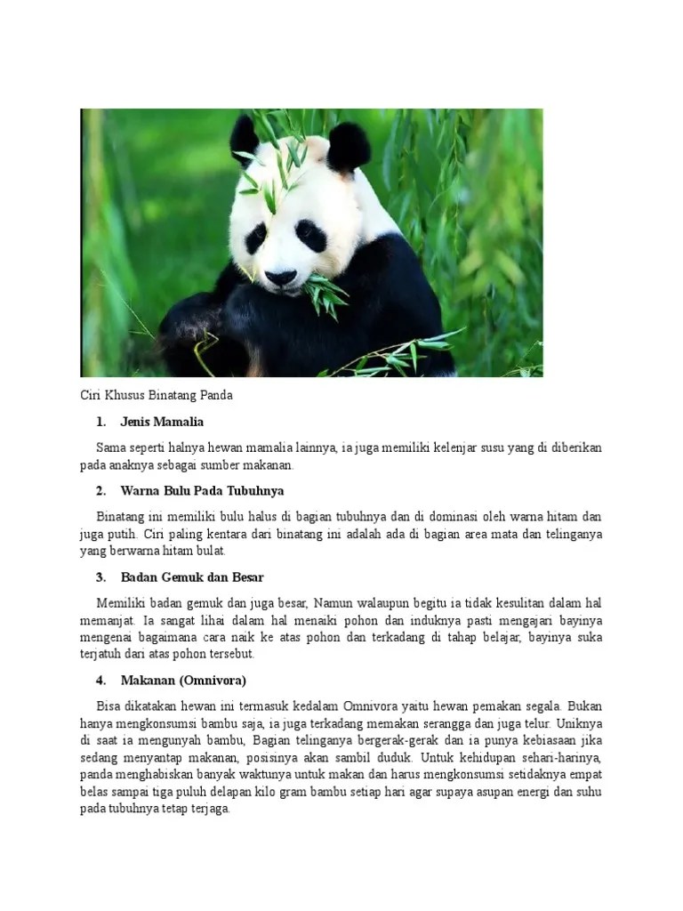Ciri Ciri Hewan Panda | PDF