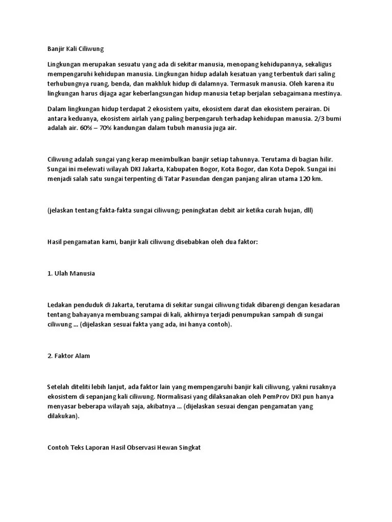 Banjir Kali Ciliwung | PDF