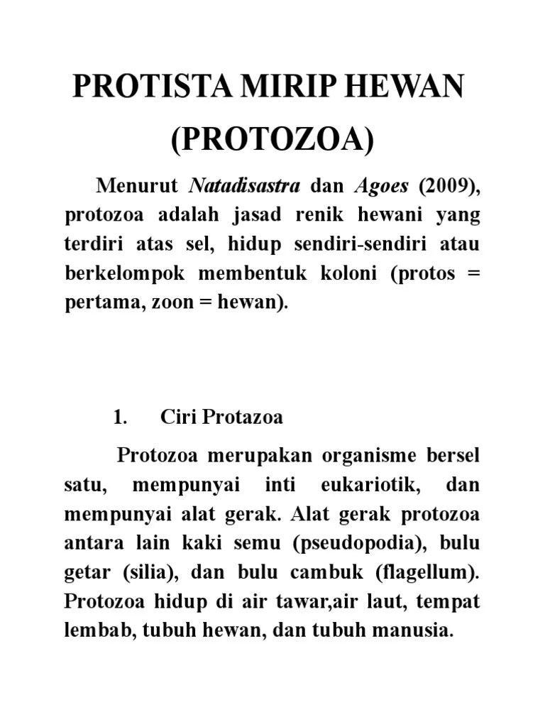 Protista Mirip Hewan | PDF