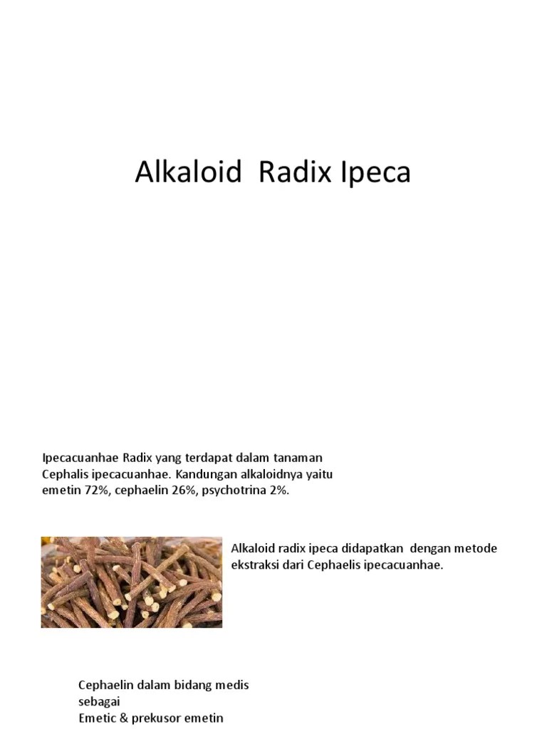 Alkaloid Radix Ipeca | PDF