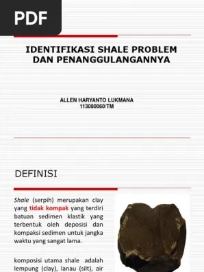Presentasi Shale Problem | PDF