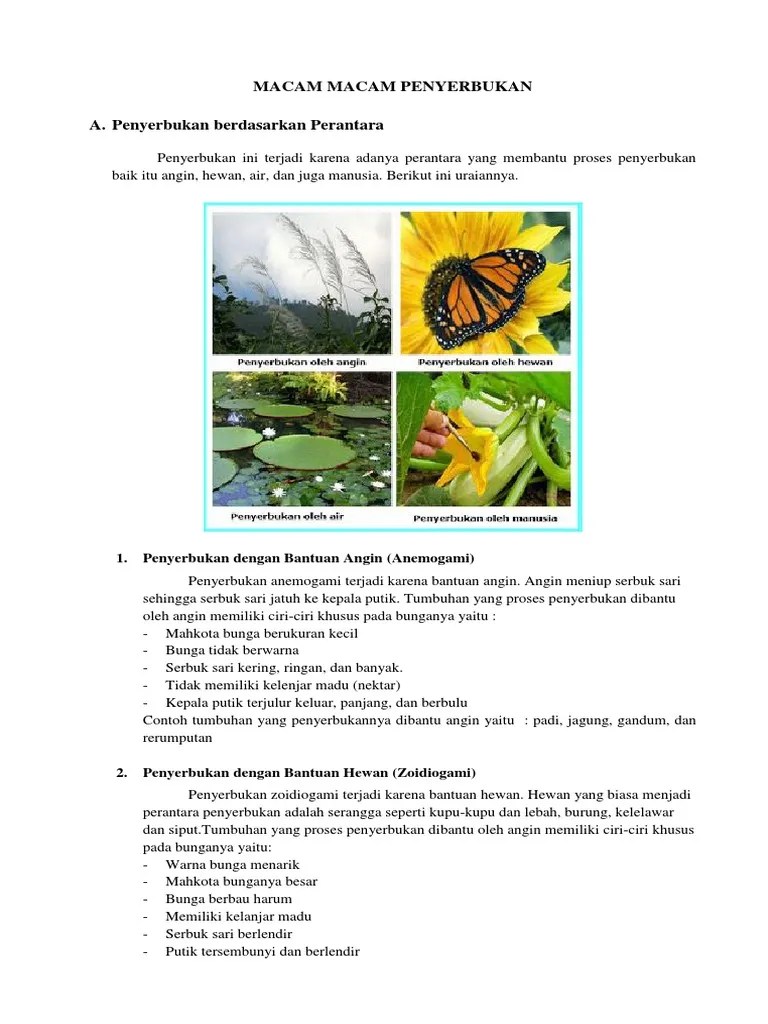 Macam Macam Penyerbukan | PDF