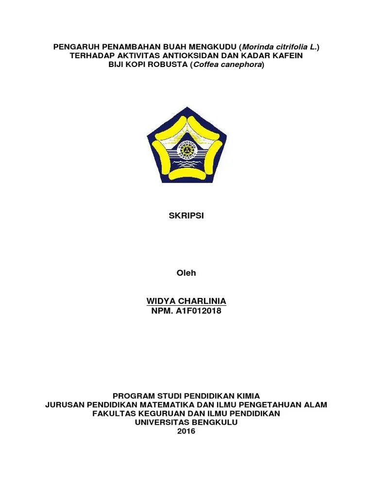 Skripsi Perpustakaan UNIB | PDF