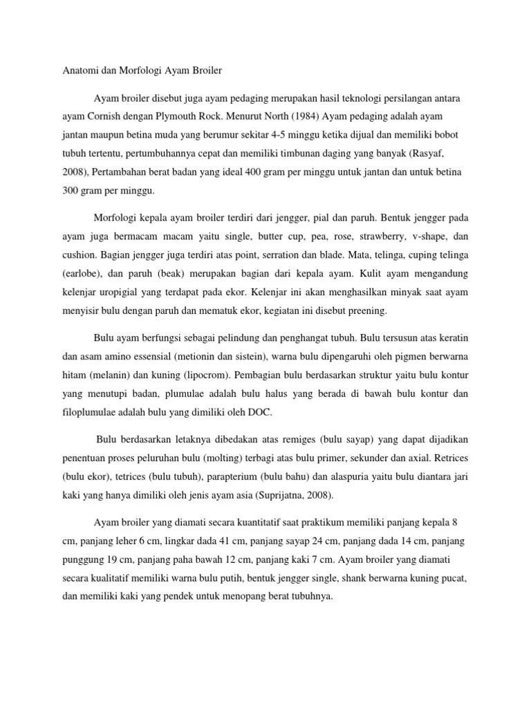 Anatomi Dan Morfologi Ayam Broiler | PDF