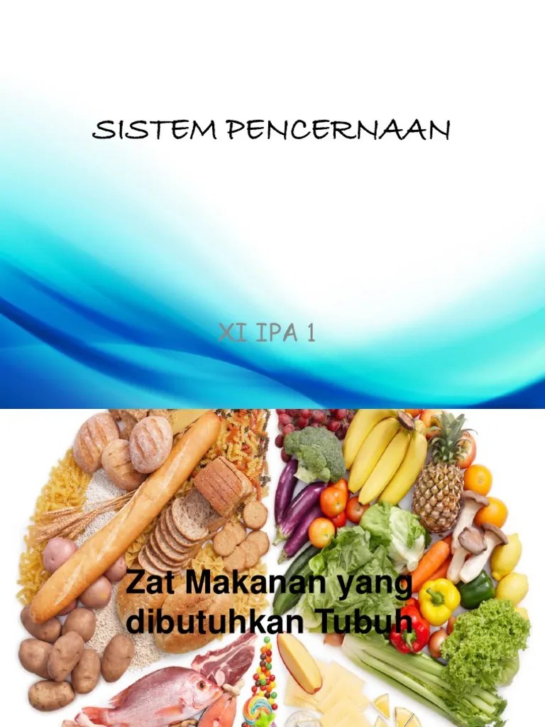 Zat Makanan Yang Dibutuhkan Tubuh | PDF