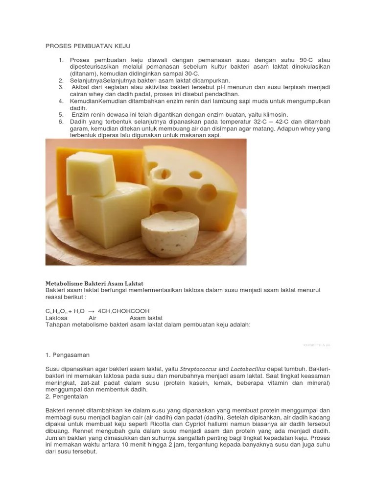 Keju Pembuatan | PDF