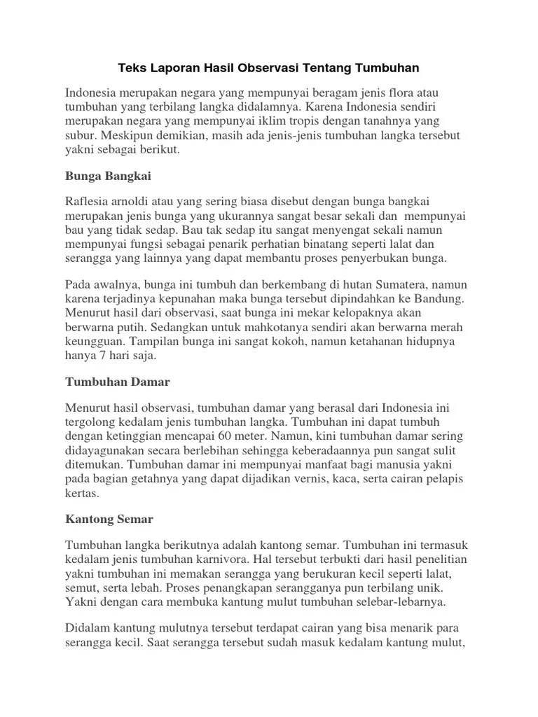 Contoh Teks Laporan Hasil Observasi Tentang Tumbuhan - Nusagates