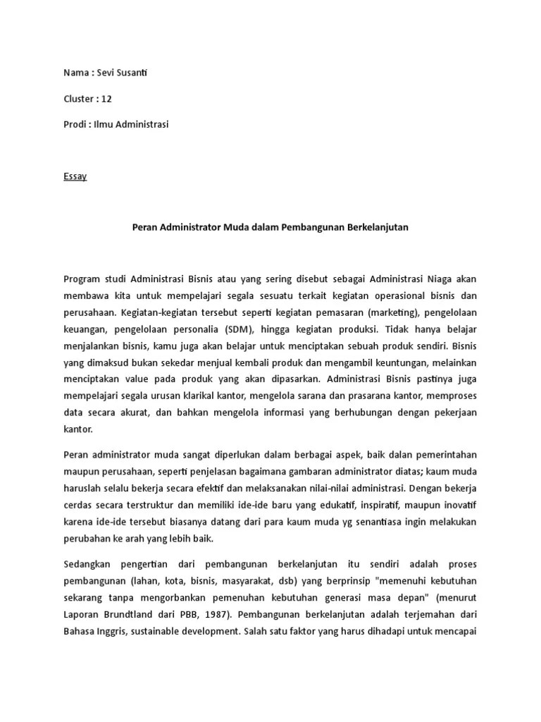 Essay Peran Adm | PDF