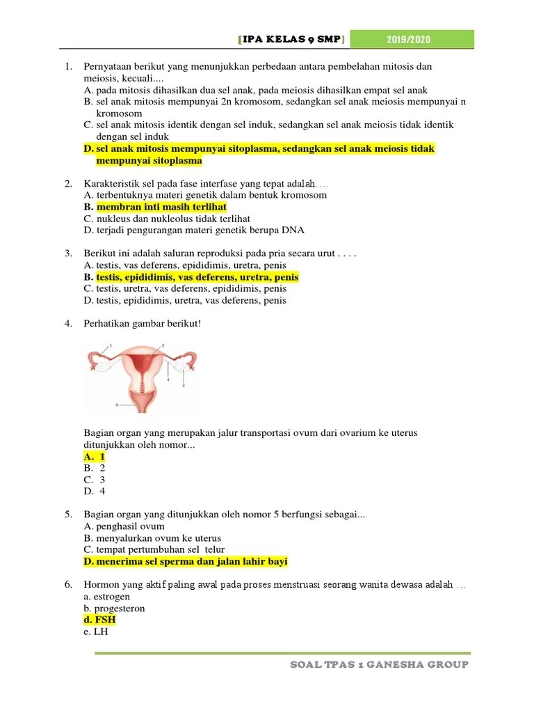 Soal Pas1 9 SMP | PDF