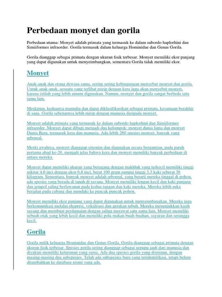 Perbedaan Monyet Dan Gorila | PDF