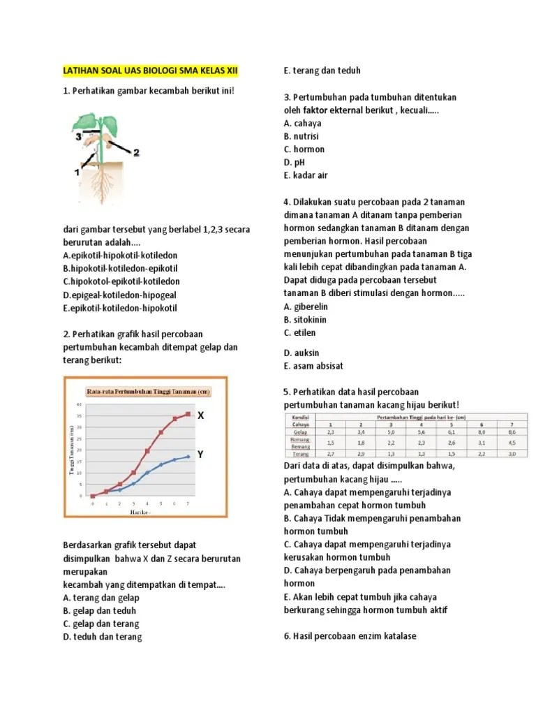 Latihan Soal Uas Bio 12 | PDF