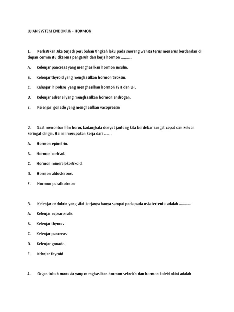 UJIAN SYSTEM EN-WPS Office | PDF