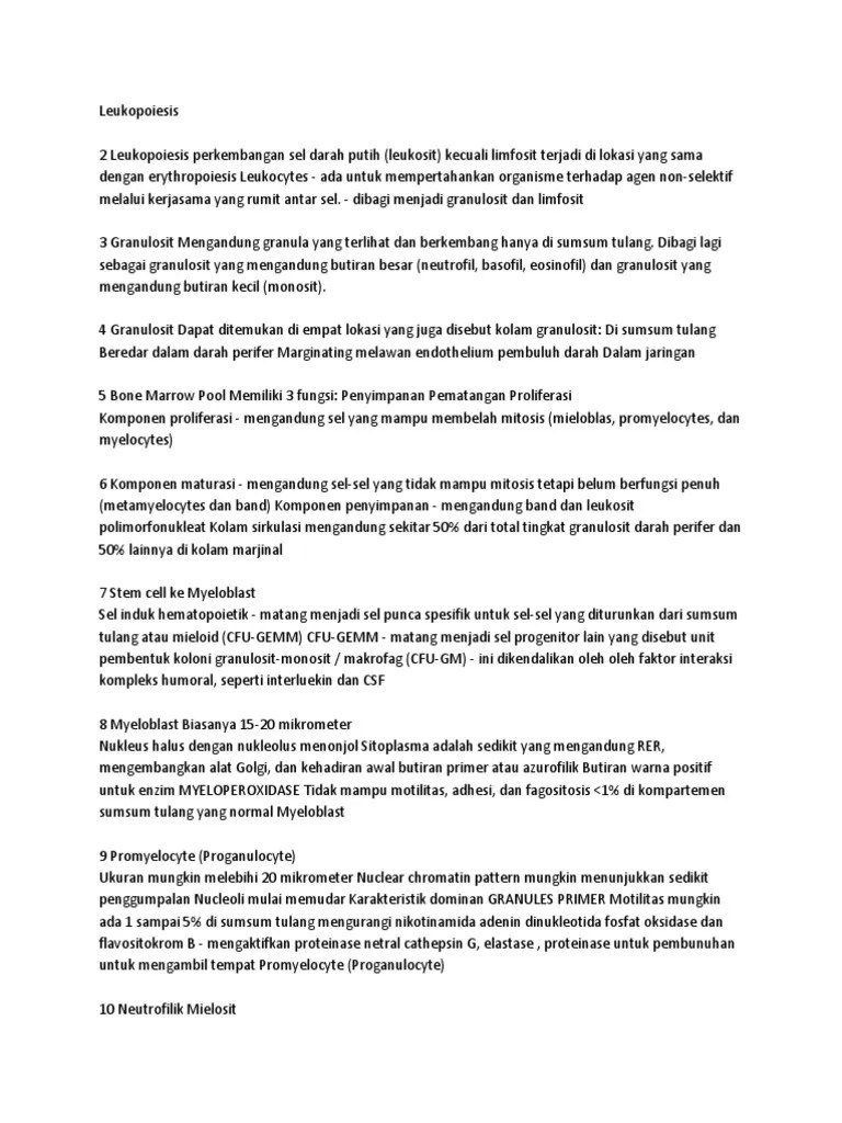 Materi 2 Leukopoiesis | PDF