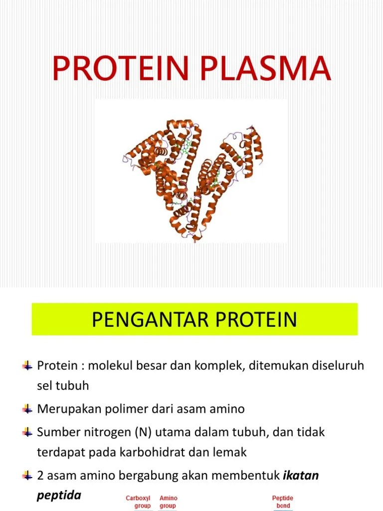 Protein Plasma | PDF