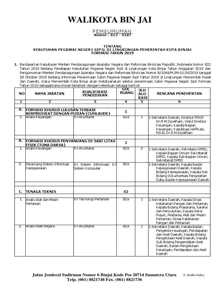 17pengumuman Kebutuhan CPNS Binjai | PDF