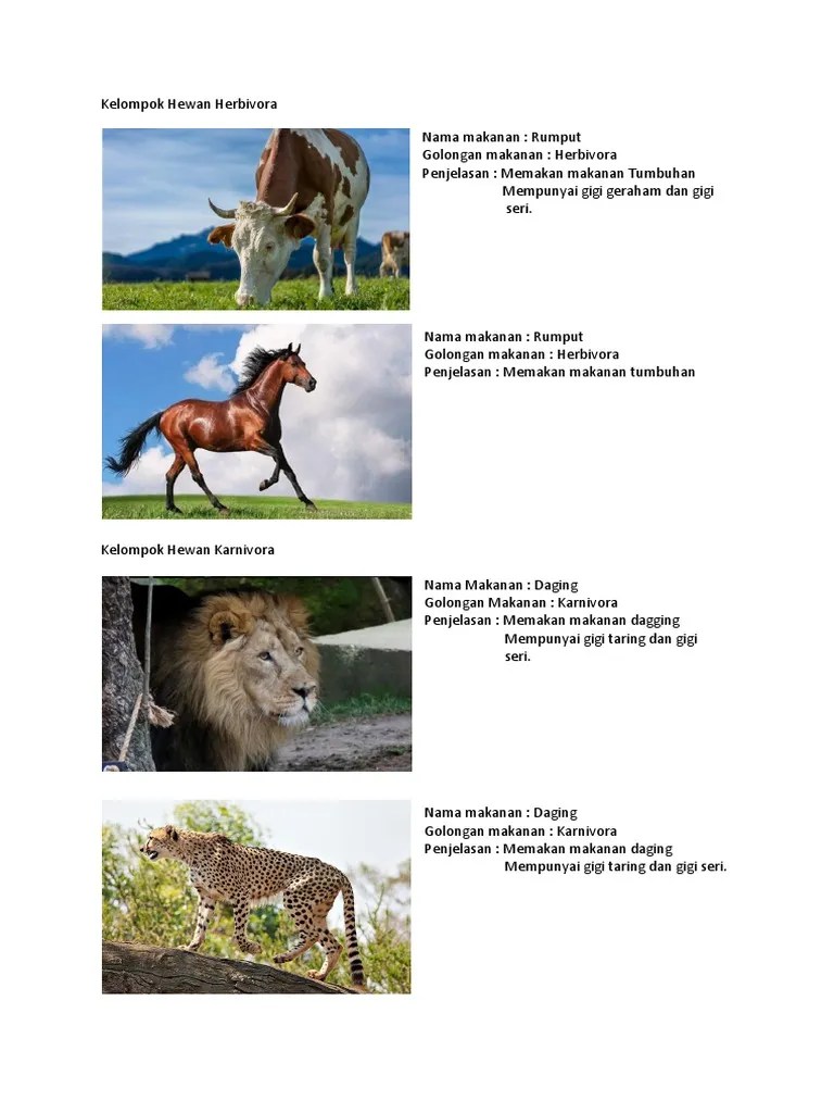 Kelompok Hewan Herbivora | PDF