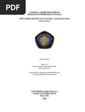 Laporan Besar Padi S1 | PDF
