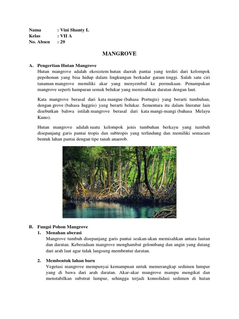 Mangrove | PDF