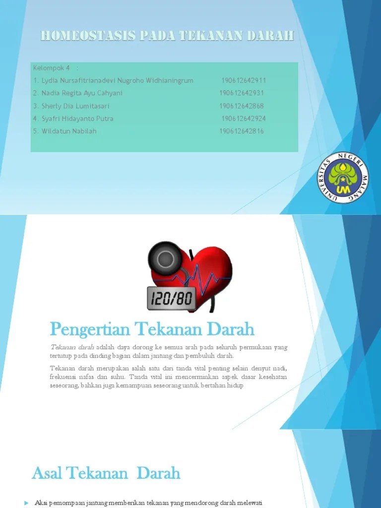 Homeostasis Pada Tekanan Darah | PDF