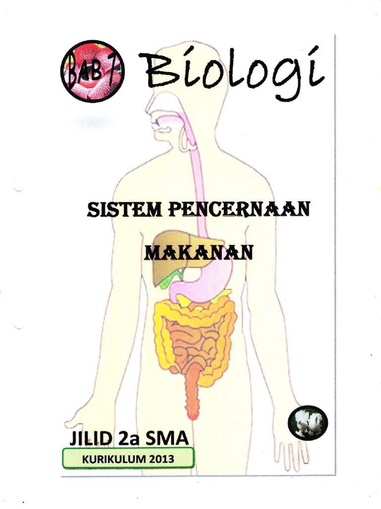 Sistem Pencernaan Makanan | PDF